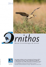 couverture Revue Ornithos n°20.6